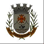 Brasão da cidade de Paramirim - BA