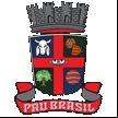 Brasão da cidade de Pau Brasil - BA