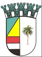 Brasão da cidade de Pinheiro - MA