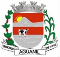 Brasão da cidade de Aguanil - MG
