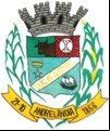 Brasão da cidade de Andrelandia - MG