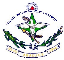 Brasão da cidade de Araujos - MG