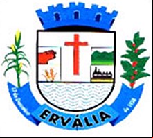 Brasão da cidade de Ervalia - MG