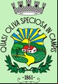 Brasão da cidade de Oliveira - MG