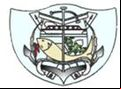 Brasão da cidade de Pirapora - MG