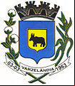 Brasão da cidade de Varzelandia - MG