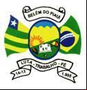 Brasão da cidade de Belem Do Piaui - PI