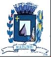 Brasão da cidade de Marumbi - PR