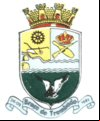 Brasão da cidade de Braco Do Trombudo - SC