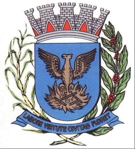 Brasão da cidade de Campinas - SP
